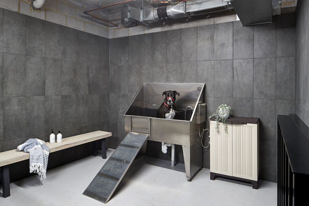 A utilitarian industrial-style dog wash and grooming room with dark large-format tiled walls, a stainless-steel wash tub with access ramp, exposed ductwork and plumbing overhead, a simple bench with towels and bottles, and a radiator cabinet. A dog is positioned in the wash station.