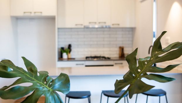 Bright contemporary kitchen with white cabinetry, a pale grey brick-pattern tiled splashback, integrated cooking area, and a light island bench with dark bar stools. Large tropical foliage in the foreground partially frames the kitchen.