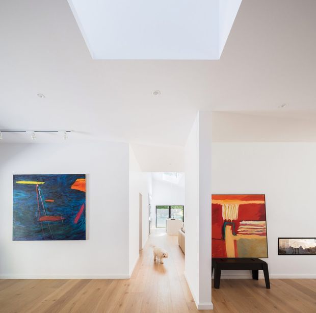 Bright contemporary interior hallway and living area with white walls, light timber flooring, a large skylight, recessed ceiling lights, and colorful abstract artwork. The central corridor leads toward a glazed opening and a light-toned kitchen or living space beyond. A small dog is visible in the hallway.