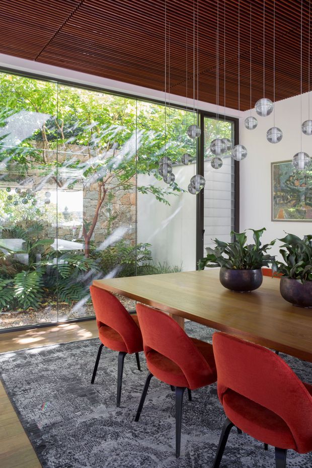 A refined dining room with a long timber dining table and red upholstered dining chairs, positioned beside expansive floor-to-ceiling glazing overlooking a leafy courtyard. The room features a dark timber slatted ceiling, black-framed glazing and doors, patterned grey carpeting, indoor plants, and multiple suspended spherical pendant lights. A stone garden wall and mature planting are visible beyond the glass.