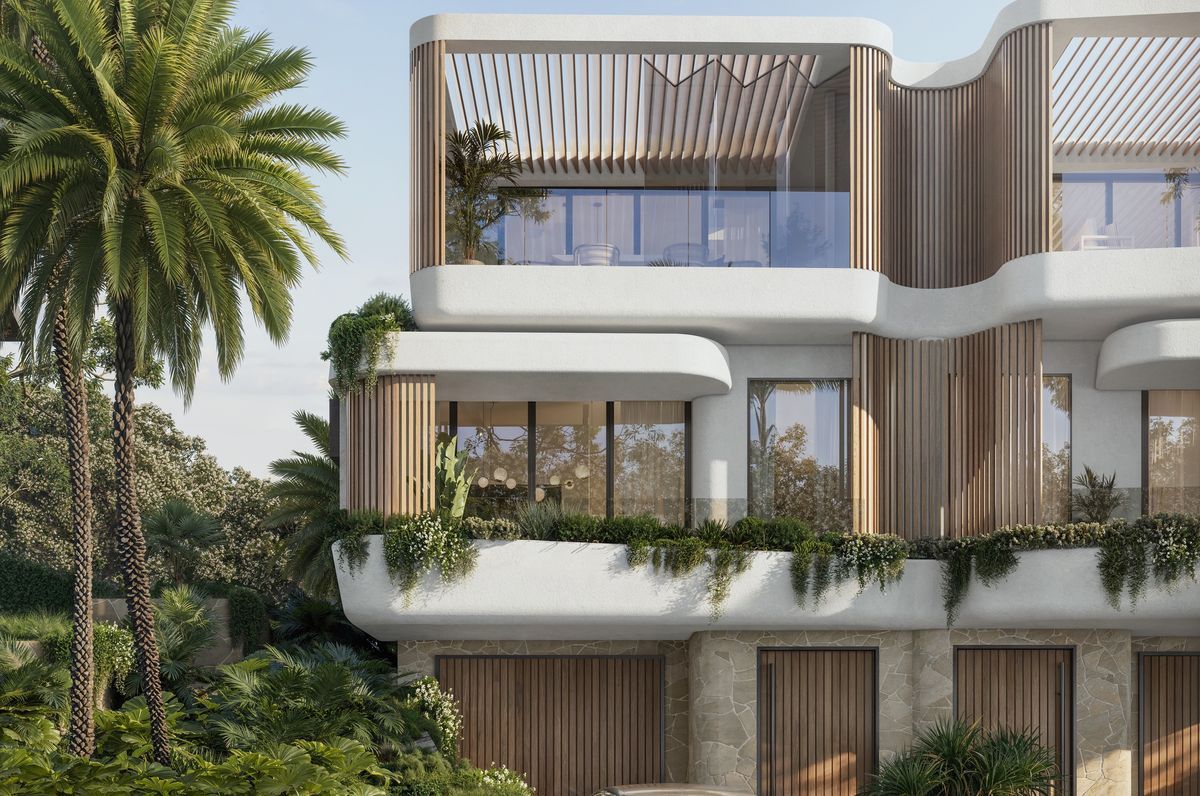 FERN | Balgowlah