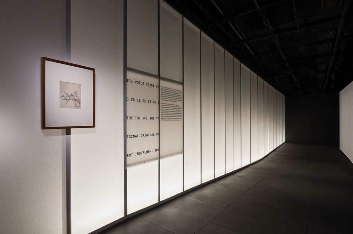 This Is A Voice | A collaboration with the Powerhouse Museum + Wellcome Trust