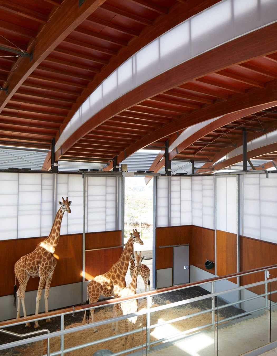 Taronga Zoo African Savannah