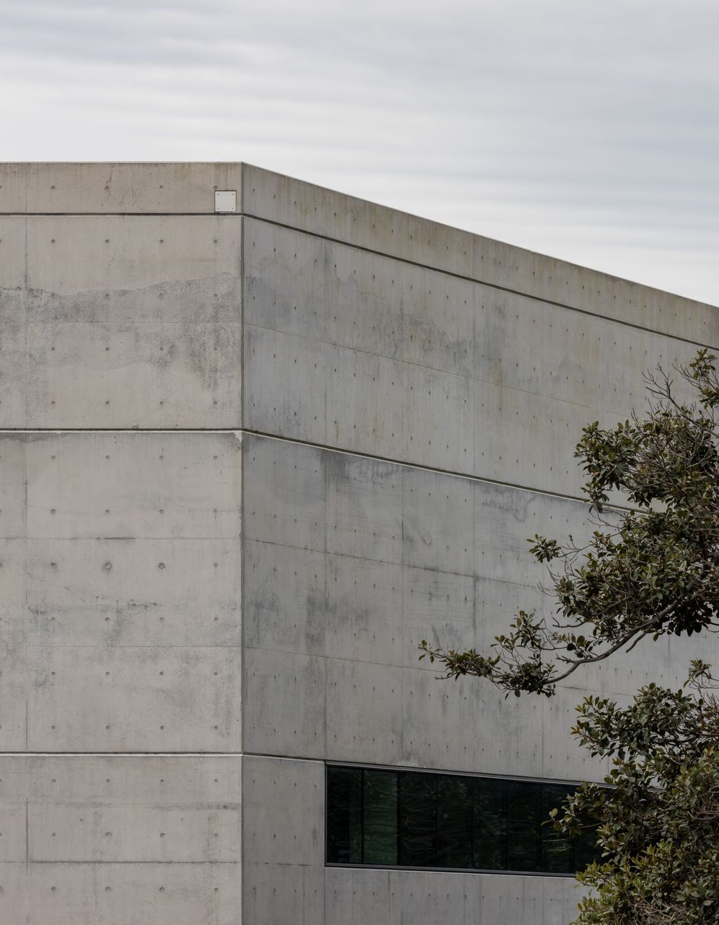 Chau Chak Wing Museum