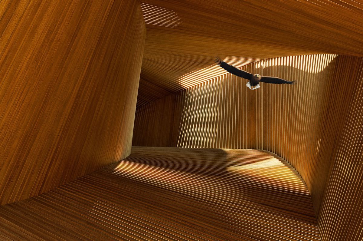 Raptor Enclosure