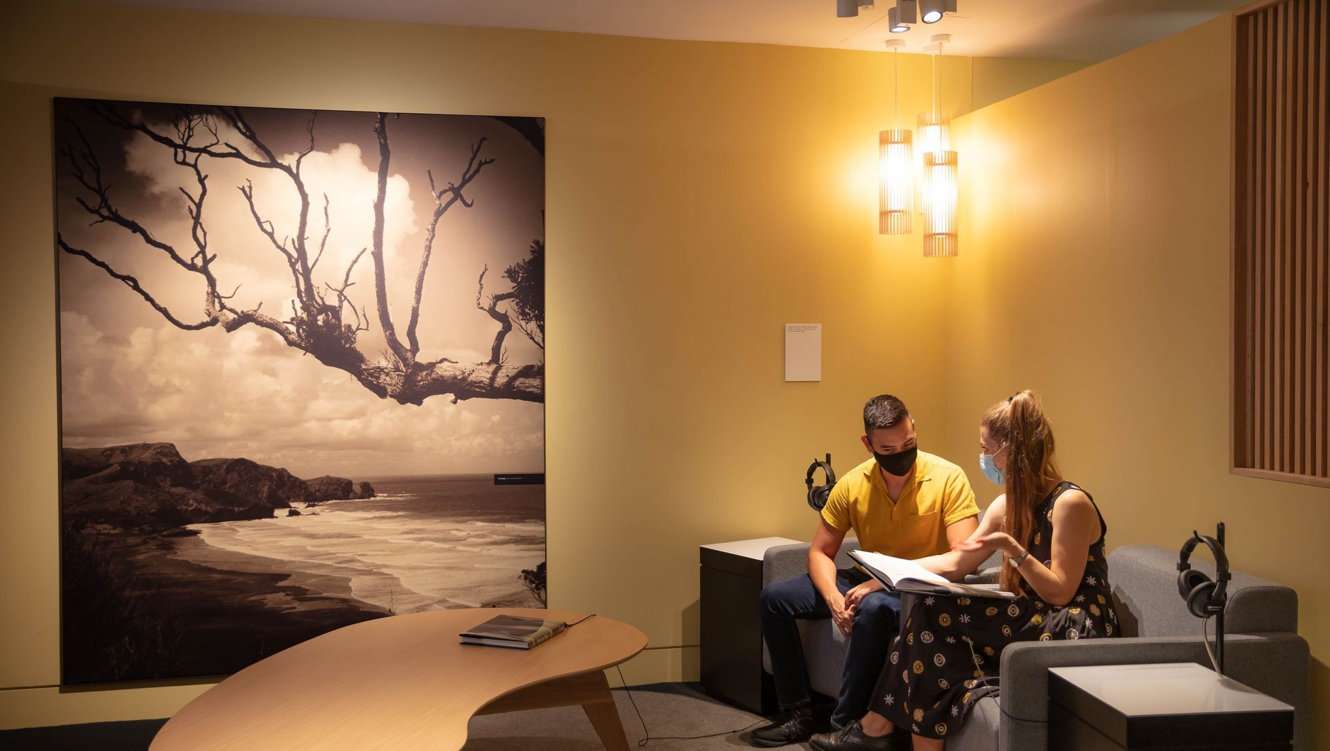 Auckland War Memorial Museum banner
