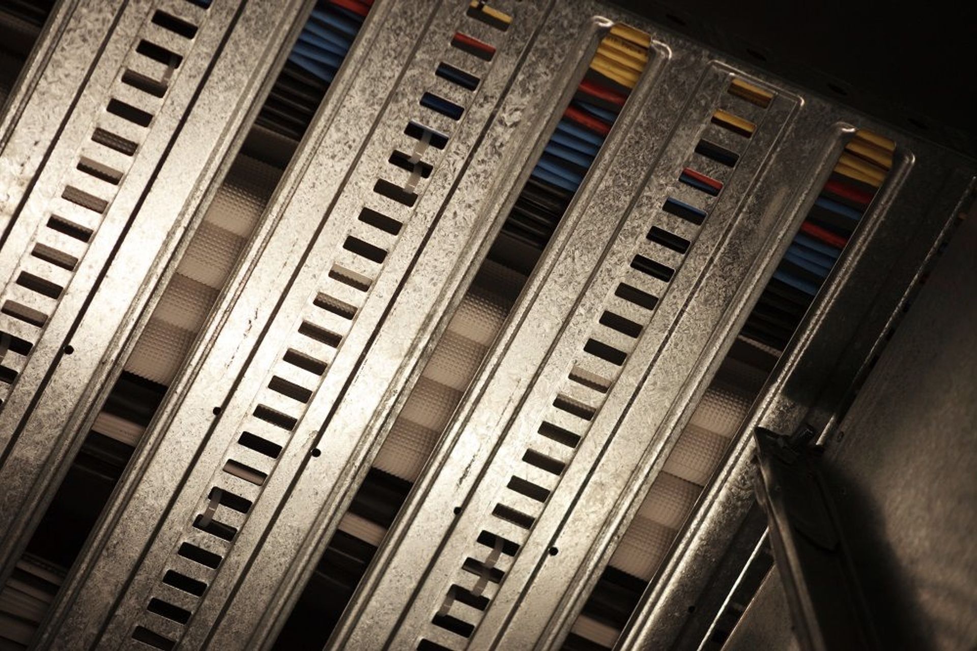 Orana Park - Great Ape Centre