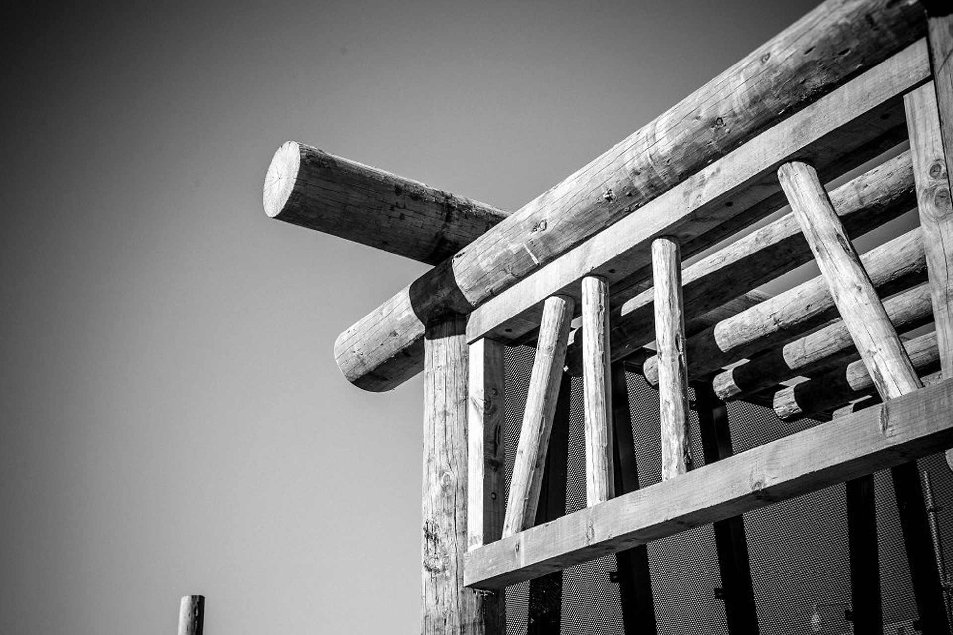Orana Park - Great Ape Centre
