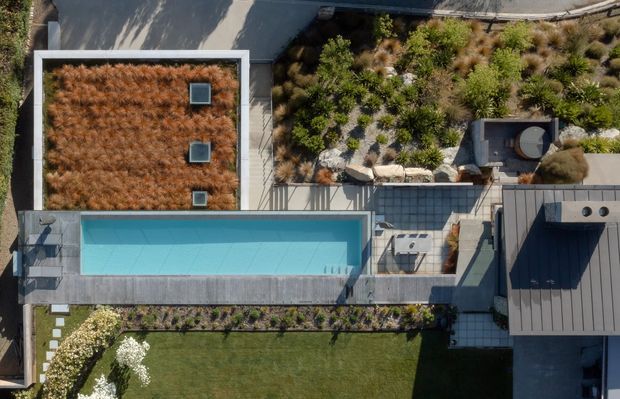 Overhead aerial view of a contemporary residential property, centred on a long rectangular swimming pool, extensive flat-roofed sections, paved terraces, and layered landscaped garden areas. The roof surfaces include planted green-roof zones with ornamental grasses and drought-tolerant planting, alongside a manicured lawn and geometric hardscaping.