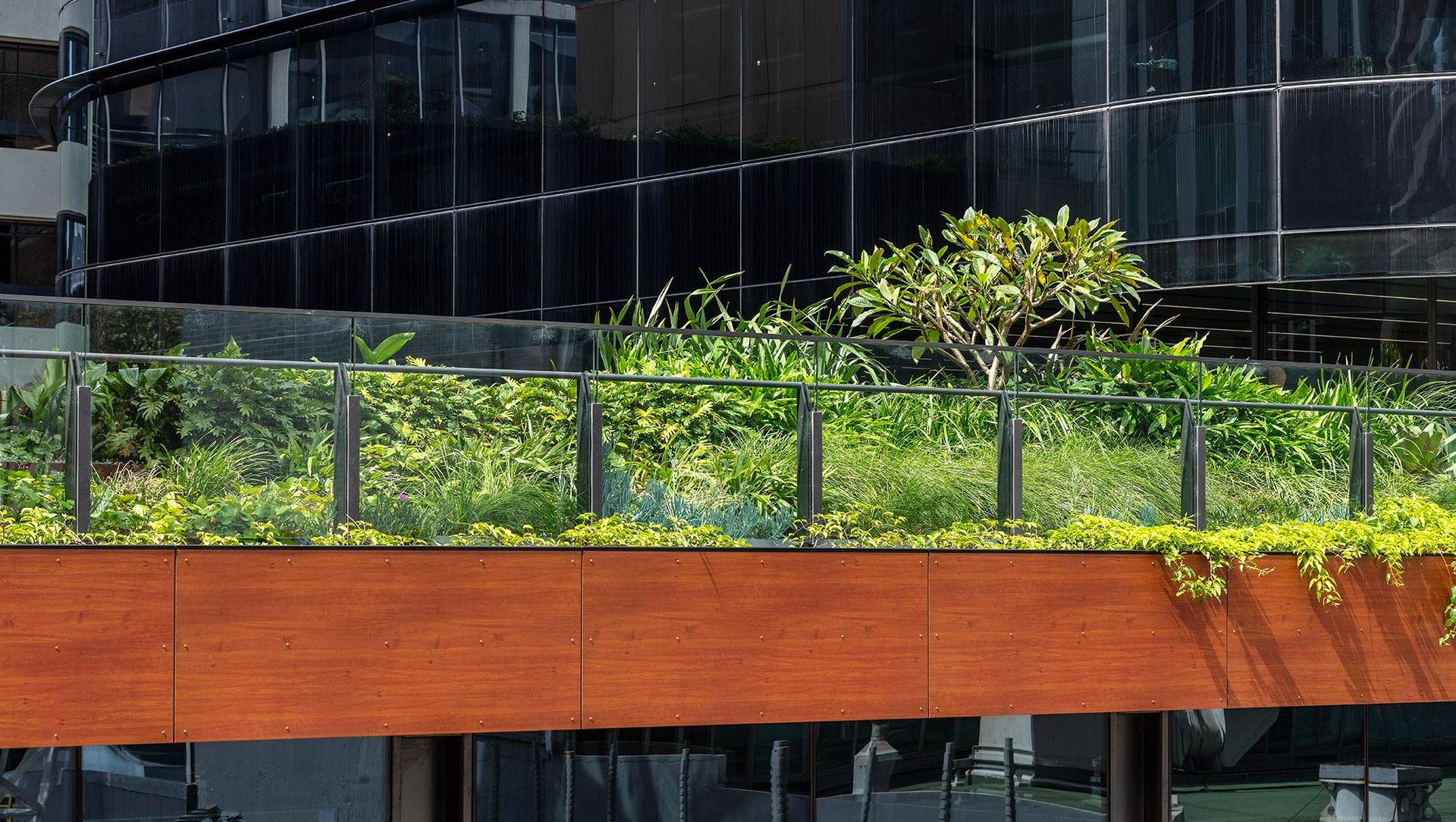 1 Denison Street banner