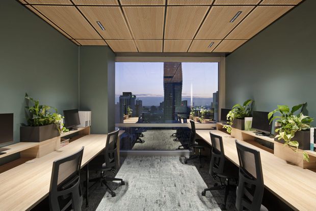 A contemporary shared office with long pale timber workstations arranged along both sides of the room, black ergonomic task chairs, computer monitors, and integrated planter boxes. Dark green walls contrast with a warm slatted timber ceiling and a grey carpeted floor. Full-height glazing at the far end overlooks a dense urban skyline and water or horizon beyond, creating a bright, polished workplace atmosphere.