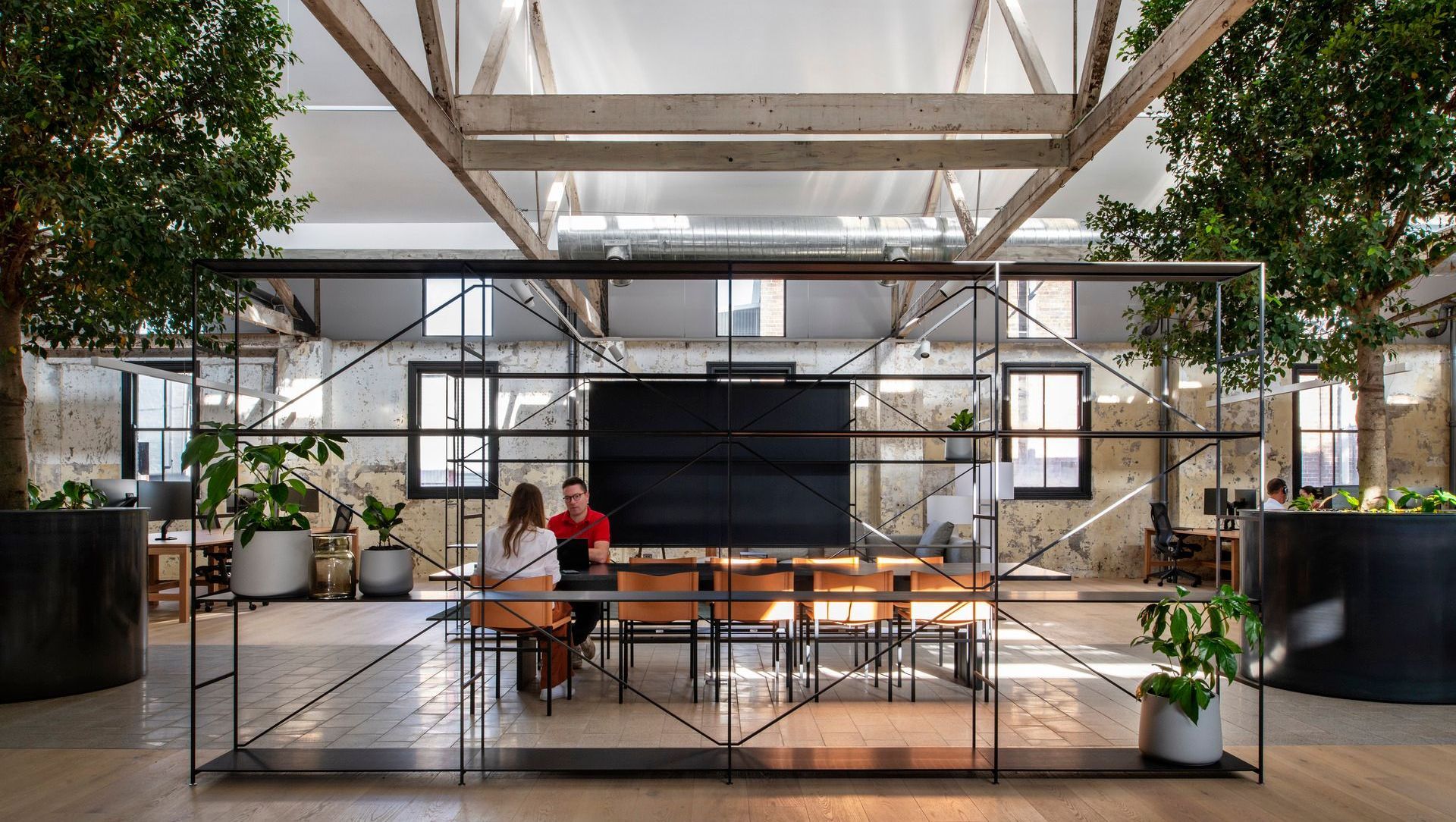 Goodman Hayesbery banner