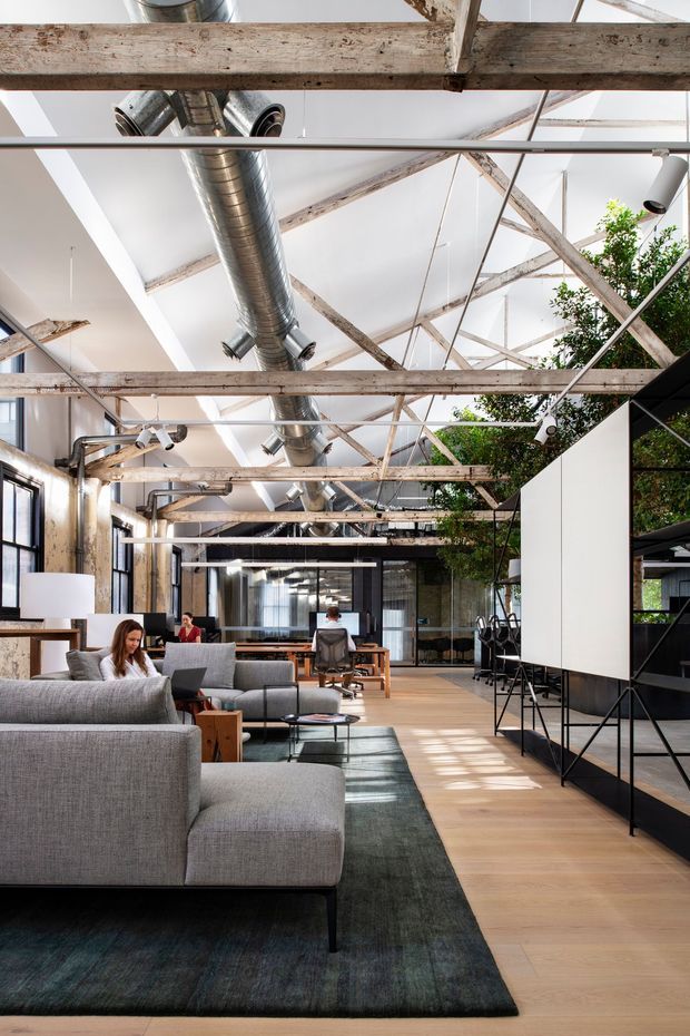 Open-plan loft-style workspace combining lounge seating and workstations beneath exposed timber roof trusses and visible galvanised ductwork. The bright interior has polished light timber flooring, large industrial-style windows, exposed services, indoor trees, black metal framing, and a large grey sectional sofa over a dark area rug. A glass meeting room and desks extend into the background.