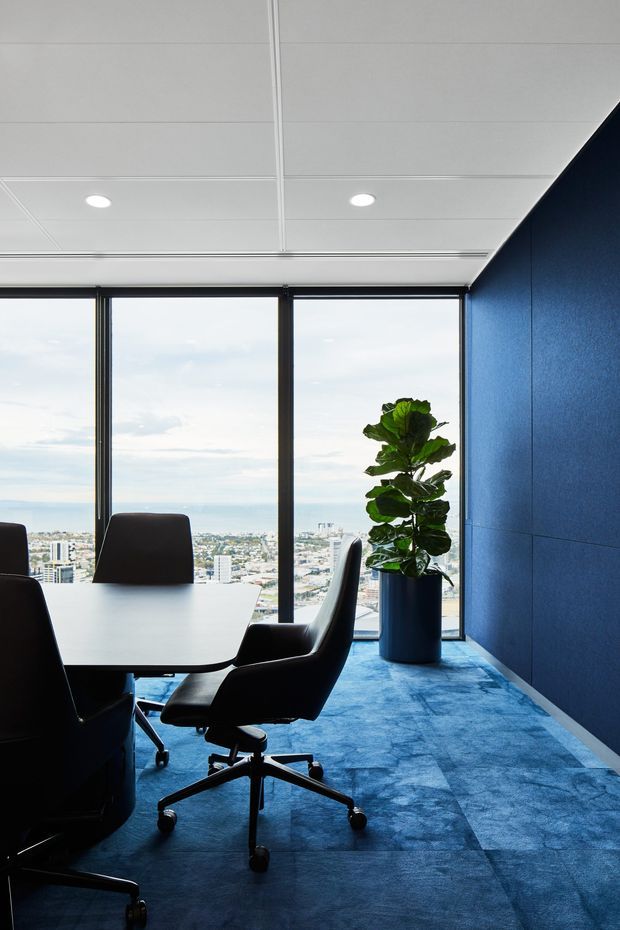 A modern commercial meeting room with a large white conference table, black office chairs, floor-to-ceiling windows overlooking a dense cityscape, blue carpet, and a dark blue textured feature wall. A potted fiddle-leaf fig adds greenery beside the glazing. The room has a suspended white panel ceiling with recessed downlights.