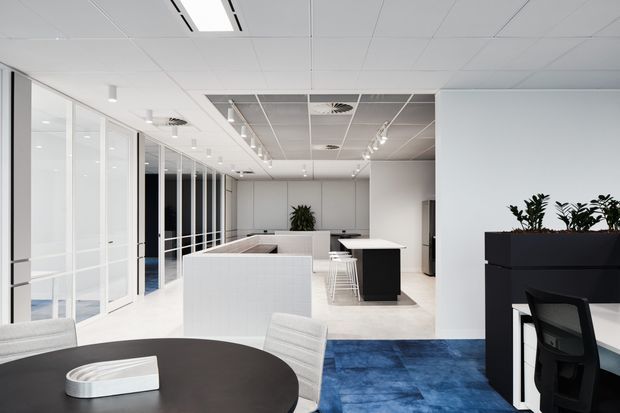 Bright contemporary commercial office interior with white partition walls and extensive glazed meeting-room fronts, open work areas, a black island or service counter, white bar stools, and a dark round meeting table in the foreground. The space has a suspended acoustic ceiling with integrated linear lighting, white cabinetry, black planter units, and a striking blue carpet zone.