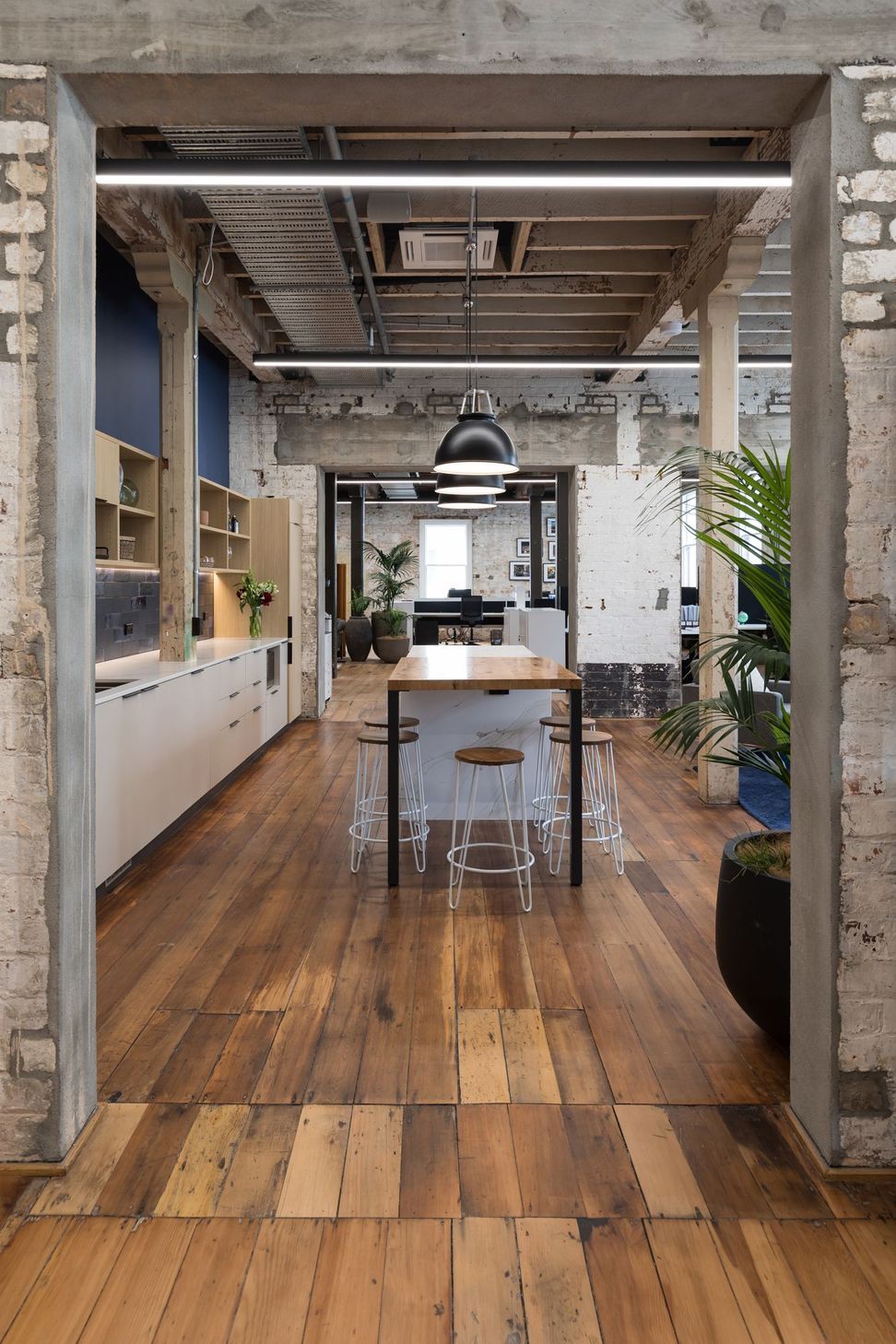 Tailor Inc Office