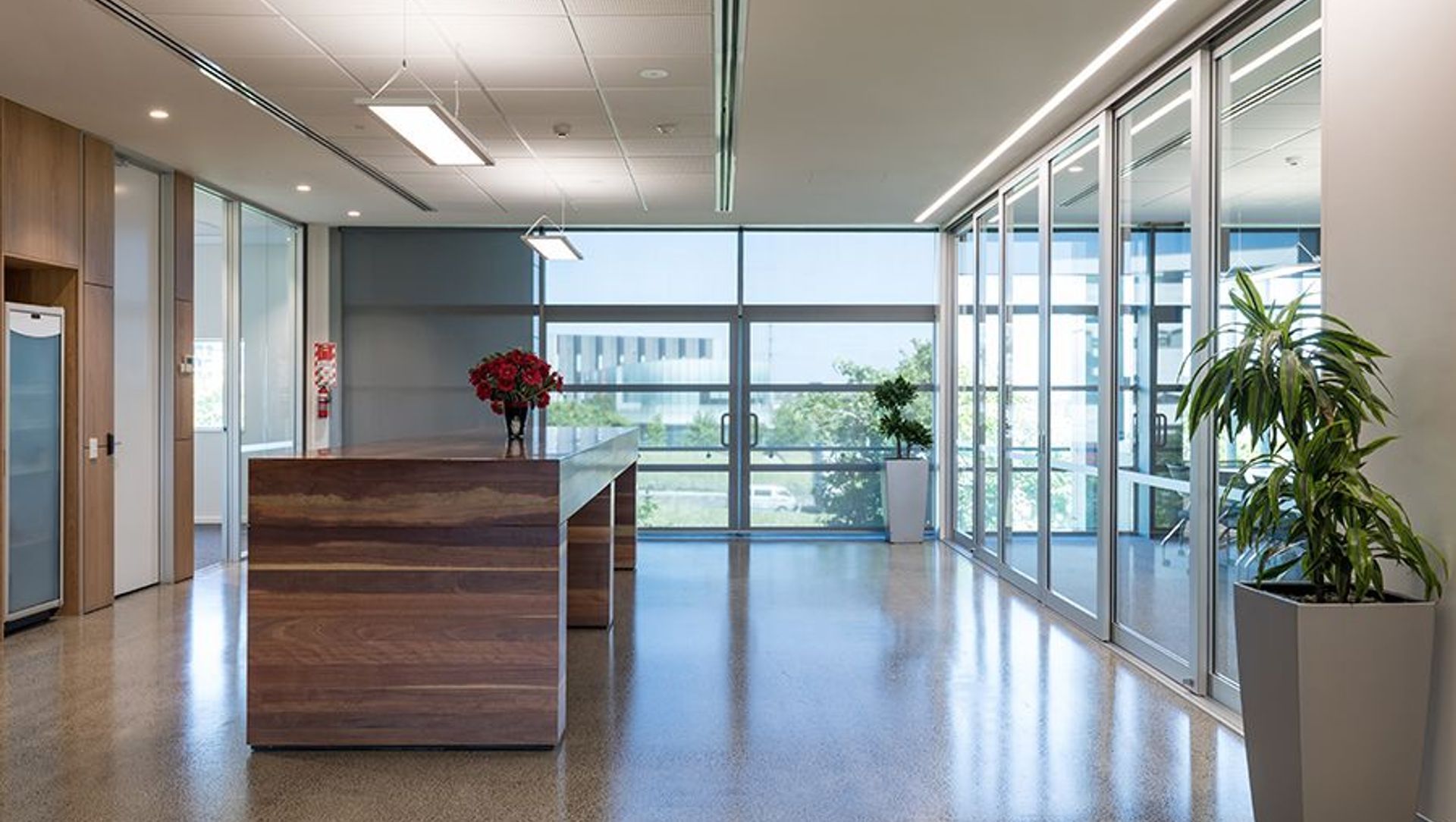 Colliers Highbrook, Auckland banner