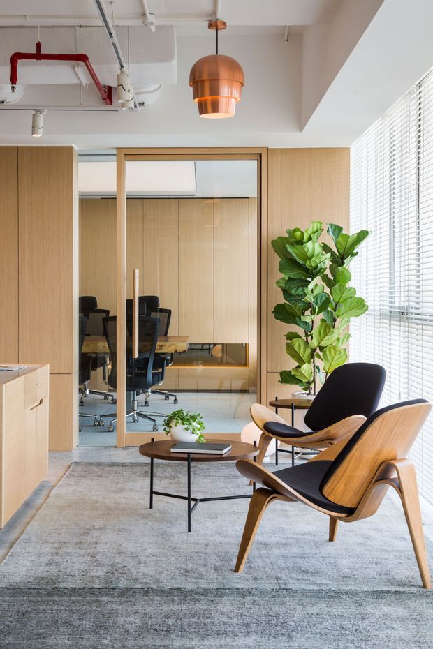 A bright contemporary office lounge and meeting area with light timber wall panelling, a glazed meeting-room enclosure, grey carpet, a sculptural timber lounge chair, round coffee table, indoor plant, and a copper pendant light. Exposed ceiling services and a red sprinkler pipe add an industrial detail, while large windows with horizontal blinds provide abundant natural light.