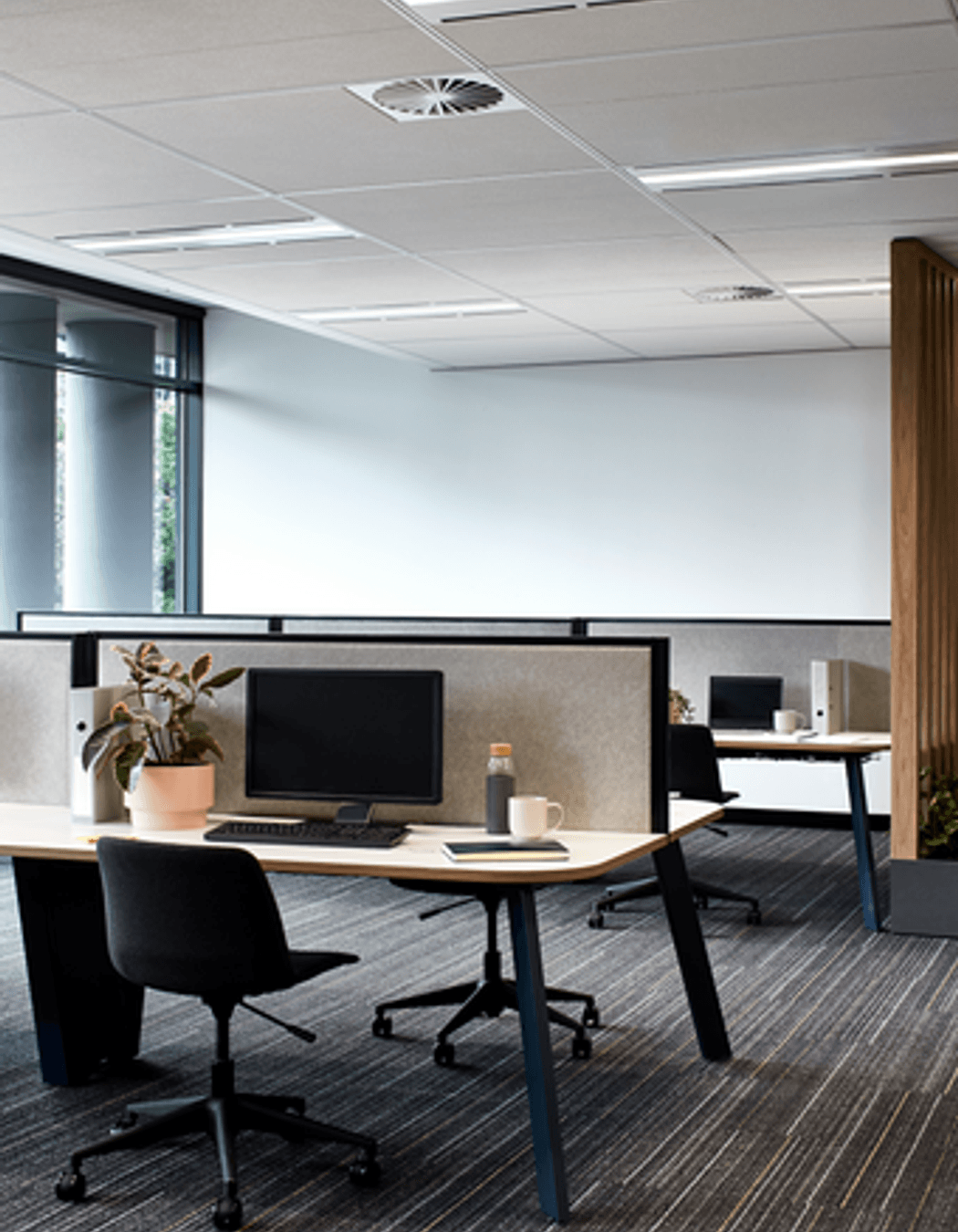 Photography: Shannon McGrath