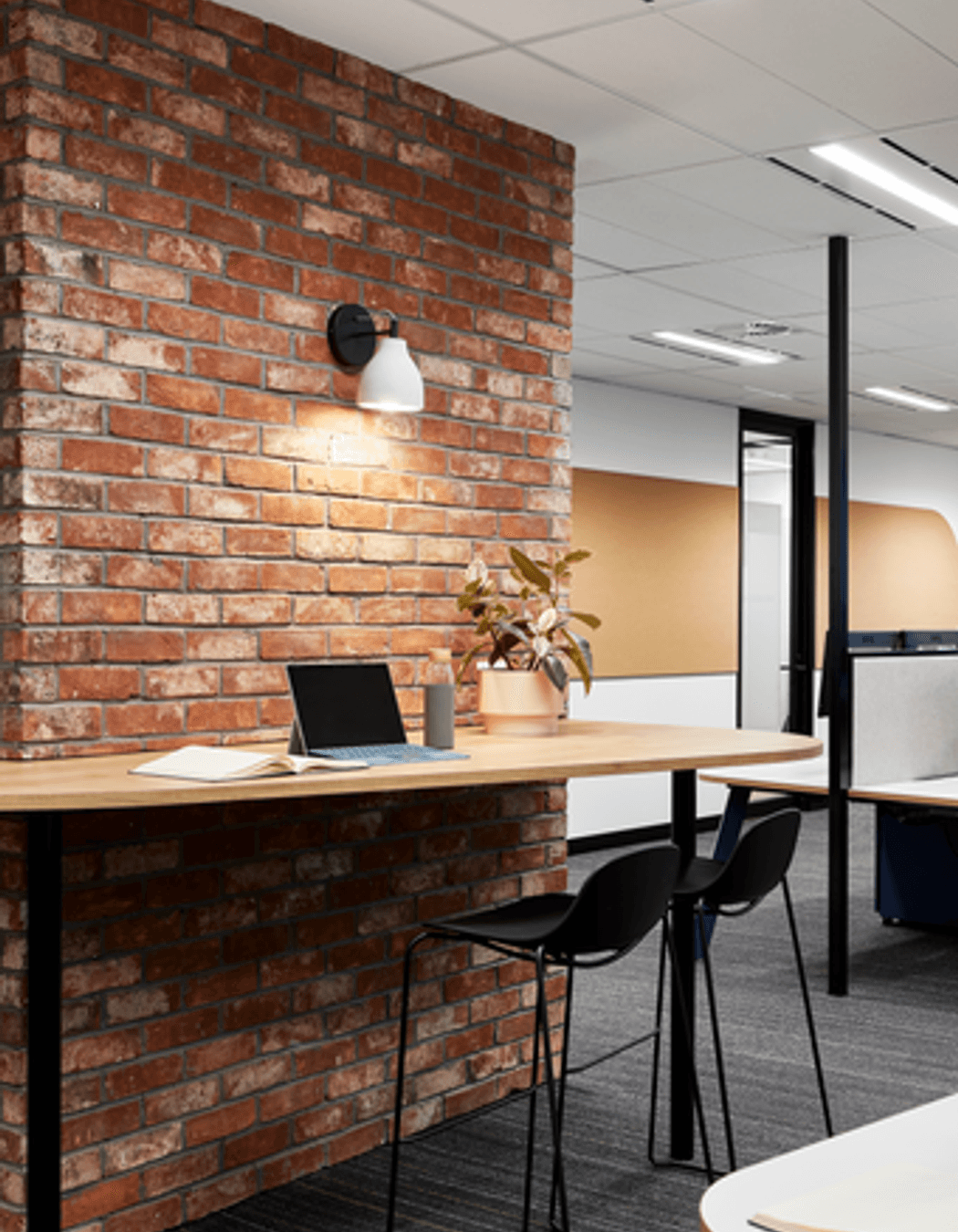 Photography: Shannon McGrath