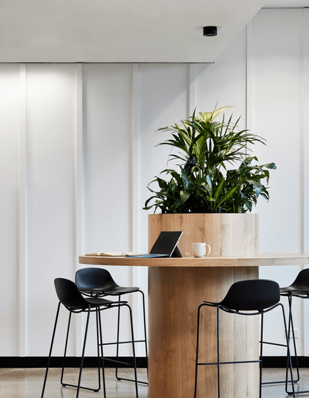 Photography: Shannon McGrath