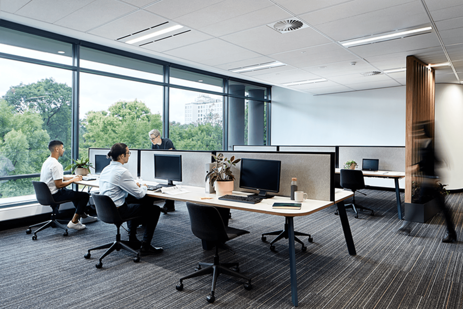 Photography: Shannon McGrath