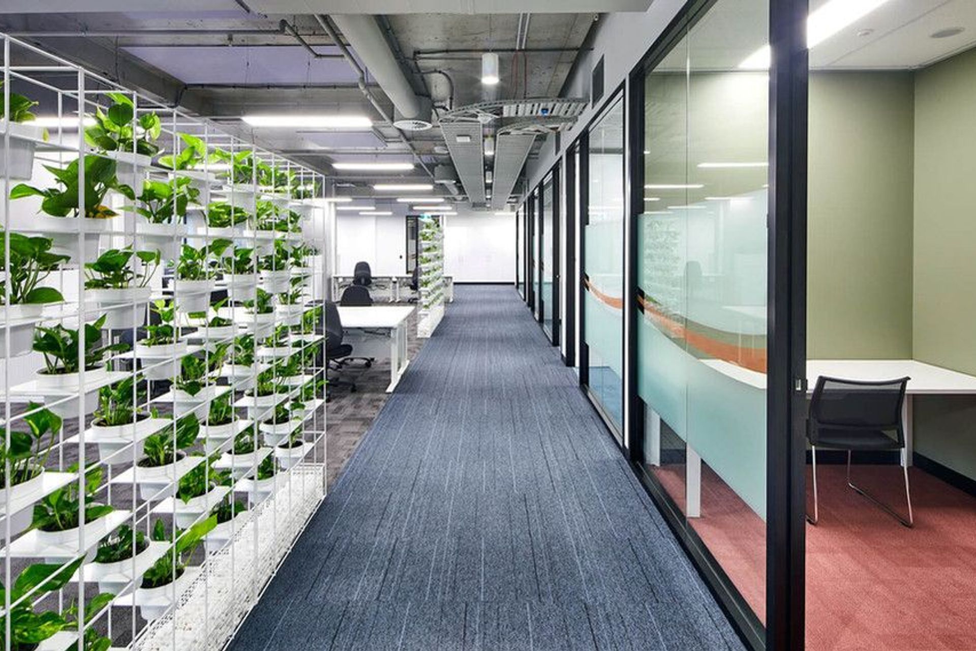 Health Direct Sydney