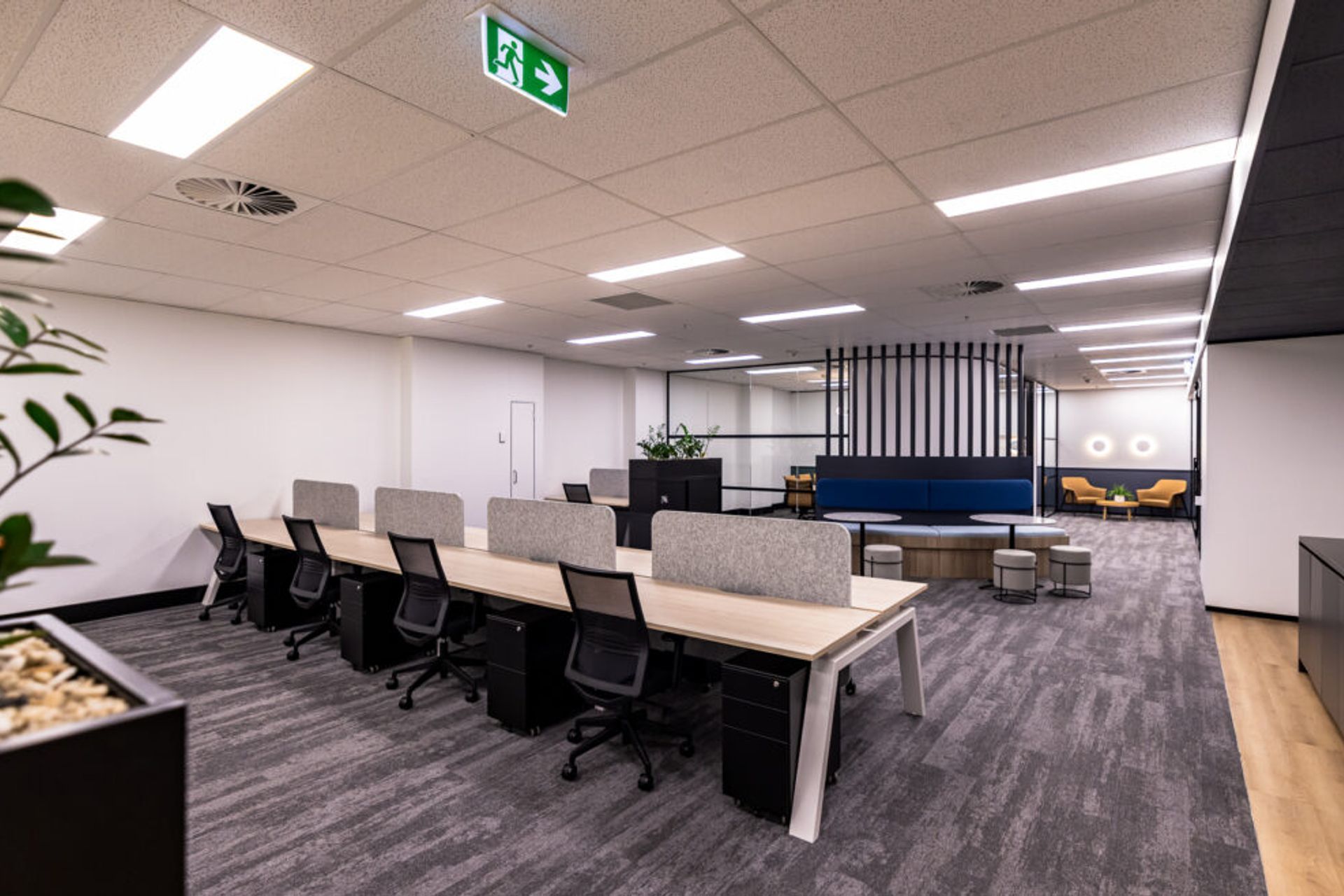 Pitt St Display Suite