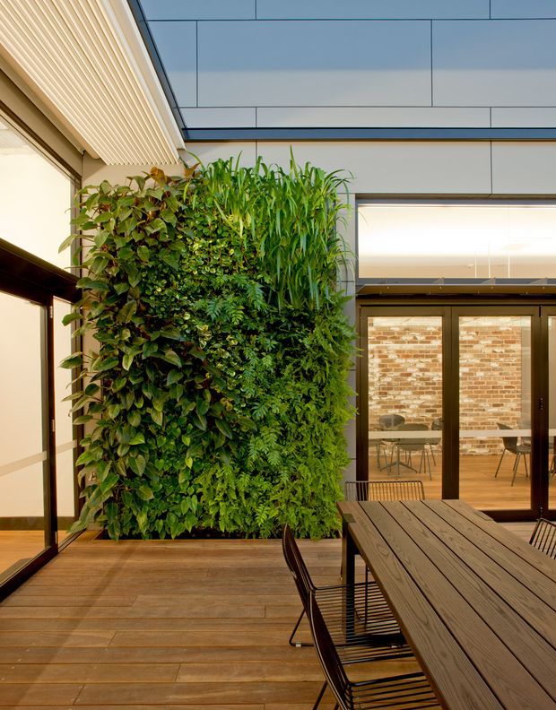 A contemporary indoor courtyard or atrium with timber decking, a large vertical living wall, and a timber dining table with black metal chairs. Full-height glazed doors reveal a brick-lined adjoining dining area, while overhead glazing and linear ceiling panels create a bright, sheltered space.