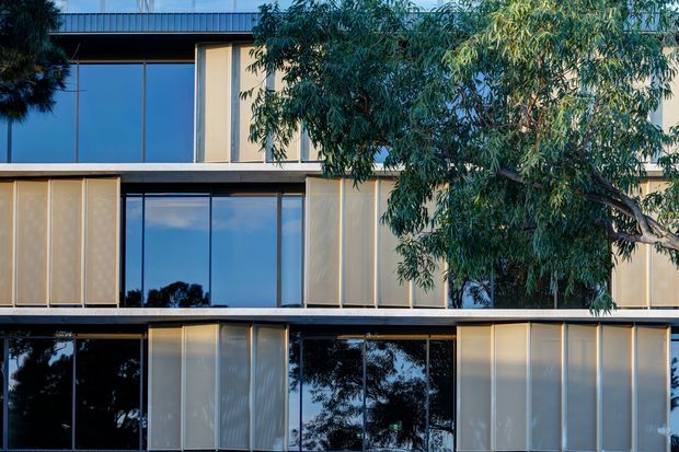 Close-up exterior view of a contemporary multi-storey building with broad dark-framed glazing, pale vertical facade panels, and projecting horizontal floor bands. Mature eucalyptus trees partially screen the facade, with strong reflections visible in the windows.