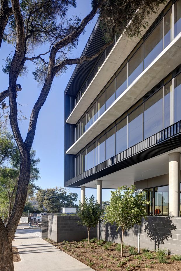 Exterior architectural photograph of a contemporary multi-storey building beside a tree-lined footpath. The building features projecting concrete floor slabs, extensive floor-to-ceiling glazing, dark vertical metal cladding and balustrades, a deep ribbed roof or soffit edge, and round concrete columns supporting an elevated upper level. A low dark masonry wall and landscaped planting sit along the frontage.