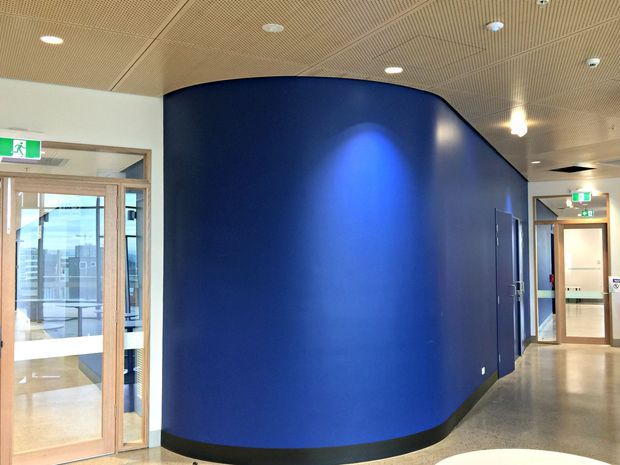 Interior view of a contemporary institutional or commercial corridor, featuring a prominent curved deep-blue wall with black skirting, timber-framed glazed doors, polished concrete flooring, and a perforated acoustic ceiling with recessed lighting. Emergency exit signage and adjoining corridor doors are visible.