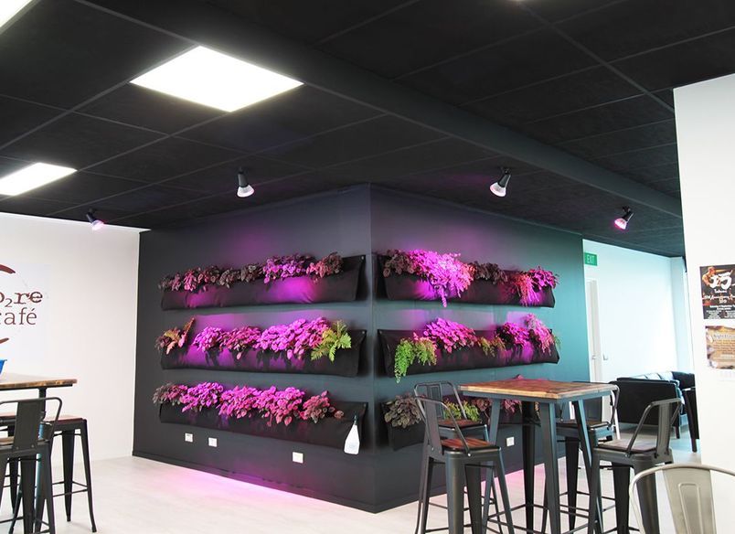 ARANZ Geo offices in Christchurch