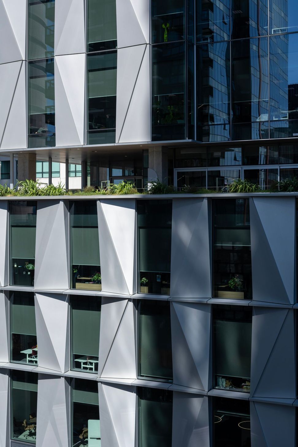 Architectus50Albert4026.jpg