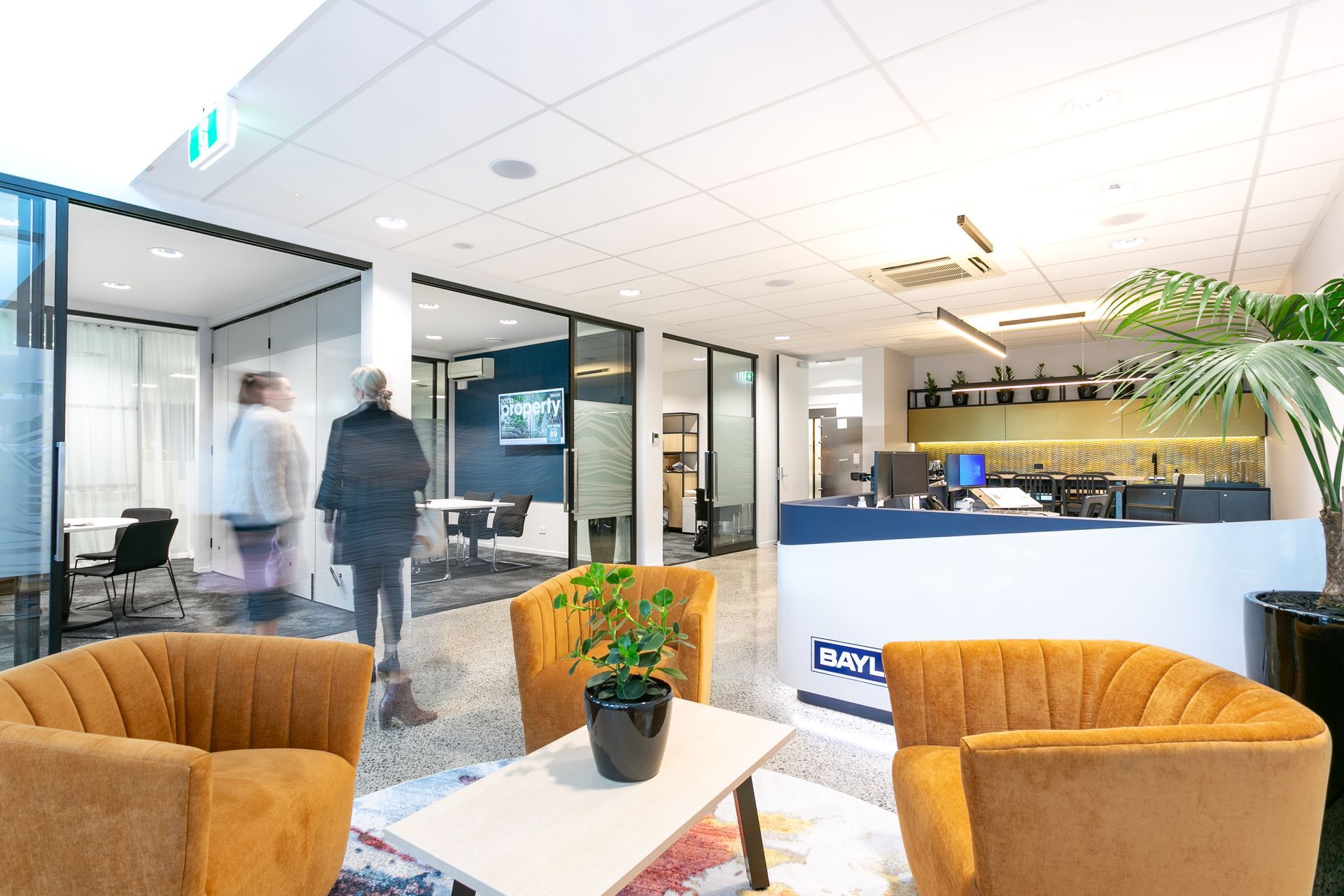 Bayleys | Mount Maunganui