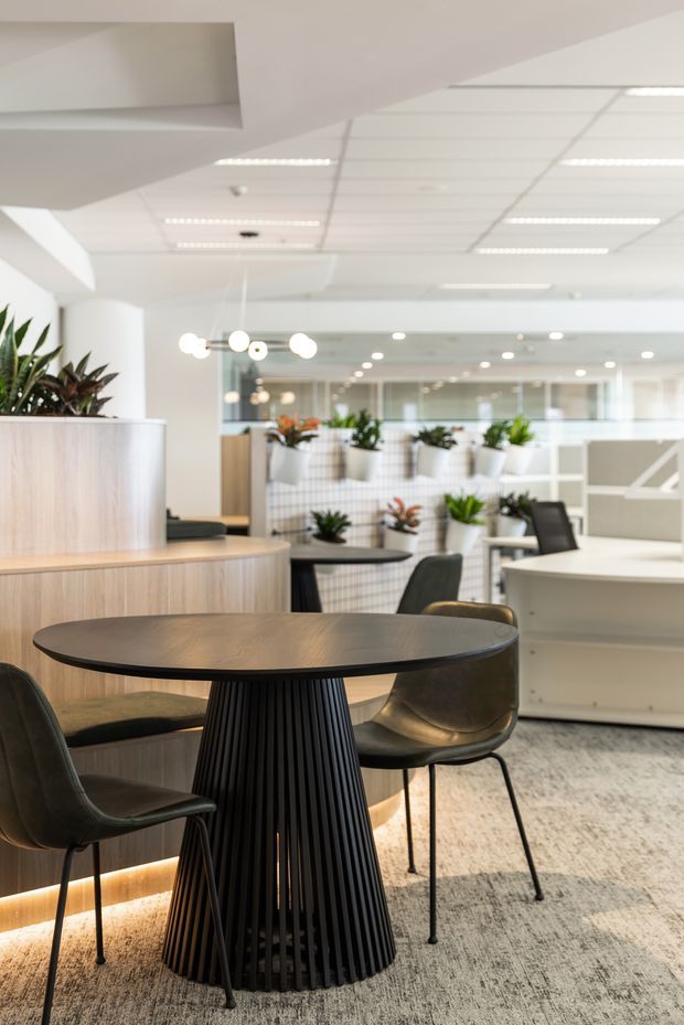 A bright contemporary office breakout and collaboration area with round meeting tables, sculptural black pedestal bases, upholstered chairs, timber-look built-in joinery, abundant indoor plants, and a white suspended ceiling with recessed and linear lighting. Glazed partitions and additional workspaces are visible in the background.