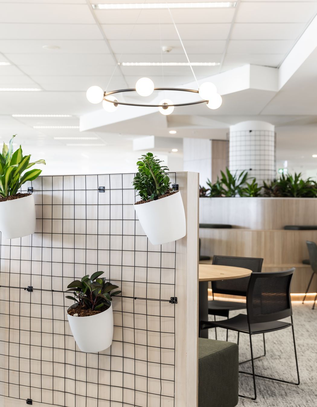 Centuria | Central Ave, Eveleigh