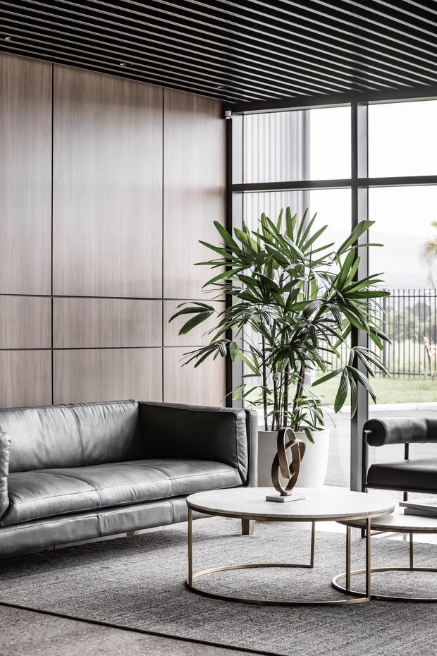A refined contemporary living room with a grey leather sofa, black leather armchairs, round nesting coffee tables, and a neutral textured rug. Full-height black-framed glazing brings in abundant daylight, while a large indoor palm adds greenery. The room features a striking dark linear slatted ceiling and full-height timber wall panelling, creating a sophisticated, softly industrial atmosphere.