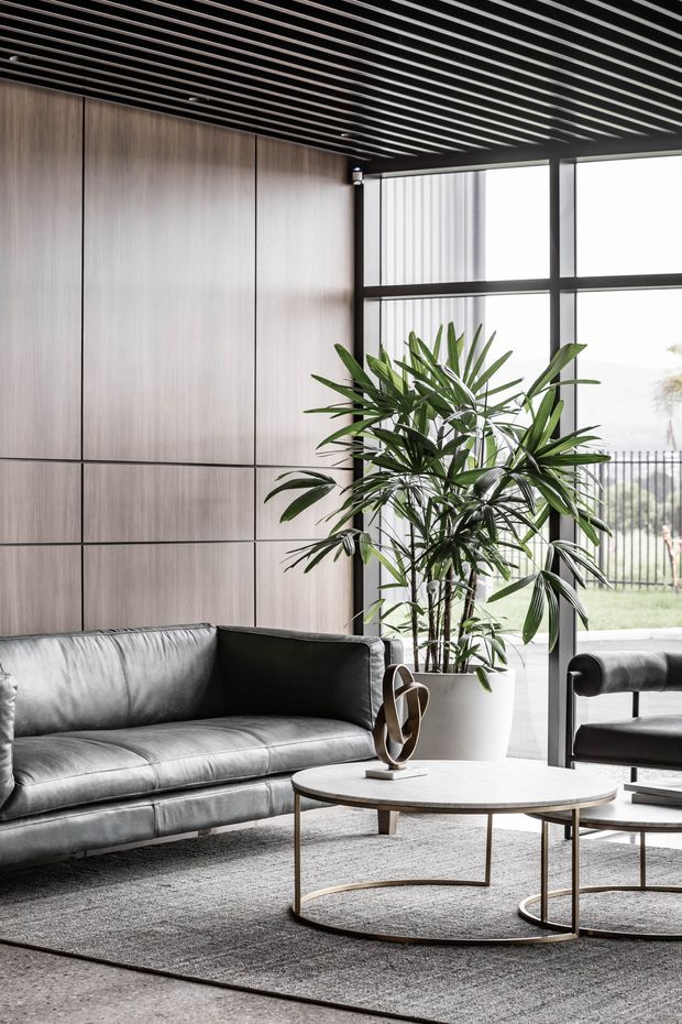 A refined contemporary living room with a grey leather sofa, round pale coffee table, sculptural decor, and a large potted palm. The room features floor-to-ceiling black-framed glazing, a warm wood-panelled wall, and a striking black linear slatted ceiling. The palette is predominantly grey, black, pale wood, and green, creating a polished yet inviting atmosphere.