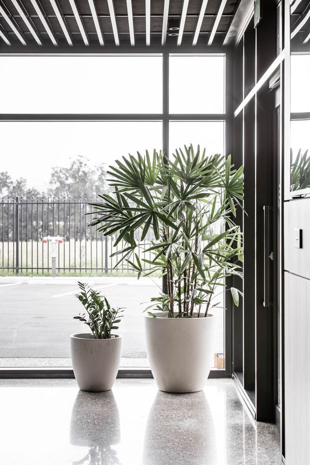 A bright, minimalist commercial entrance or lobby with full-height black-framed glazing, a dark exposed ceiling grid, and polished light terrazzo flooring. Two large potted indoor palms sit beside the glazed entry, with their reflections visible on the floor. A fenced exterior and paved area are visible beyond the windows.