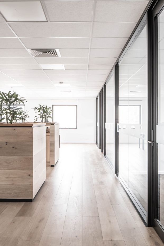 Bright modern commercial office corridor with pale timber-look flooring, white walls, a suspended acoustic tile ceiling with recessed lighting and HVAC vents, and full-height black-framed glazed office partitions along the right side. Built-in reception or storage joinery in light natural timber with integrated planters occupies the left foreground. The space is clean, open, and highly daylit.
