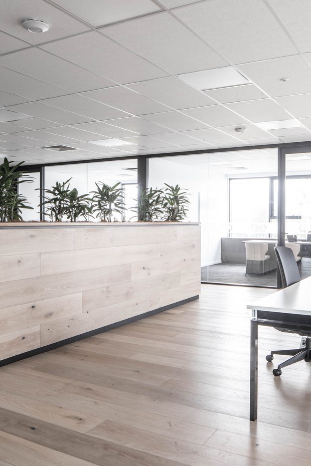Bright contemporary open-plan office interior with pale timber flooring, a large pale timber planter-partition, extensive black-framed glass walls, and workstations visible beyond. The room has a suspended white acoustic ceiling with recessed lighting and abundant natural light.