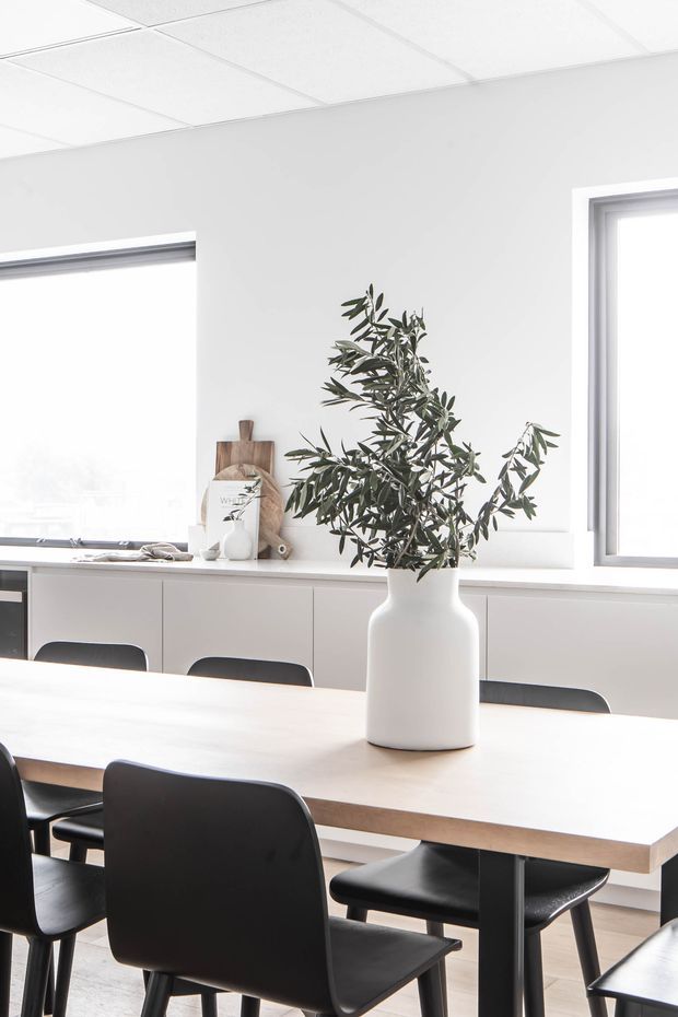 Bright, minimalist dining area with a long light-wood dining table surrounded by black dining chairs. White built-in cabinetry runs beneath large windows, while a white ceramic vase with leafy branches forms the table centrepiece. The room has white walls, a white suspended grid ceiling, pale flooring, and simple contemporary detailing.