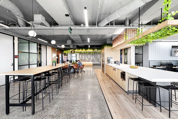 A bright contemporary commercial breakout and dining space with long communal timber tables, bar-height stools, a large white island counter, built-in cabinetry, and café-style seating. The open ceiling exposes painted services and ductwork, while pendant lights, linear lighting, black-framed glazing, timber finishes, white ribbed wall panels, and suspended greenery create an industrial yet refined workplace interior.
