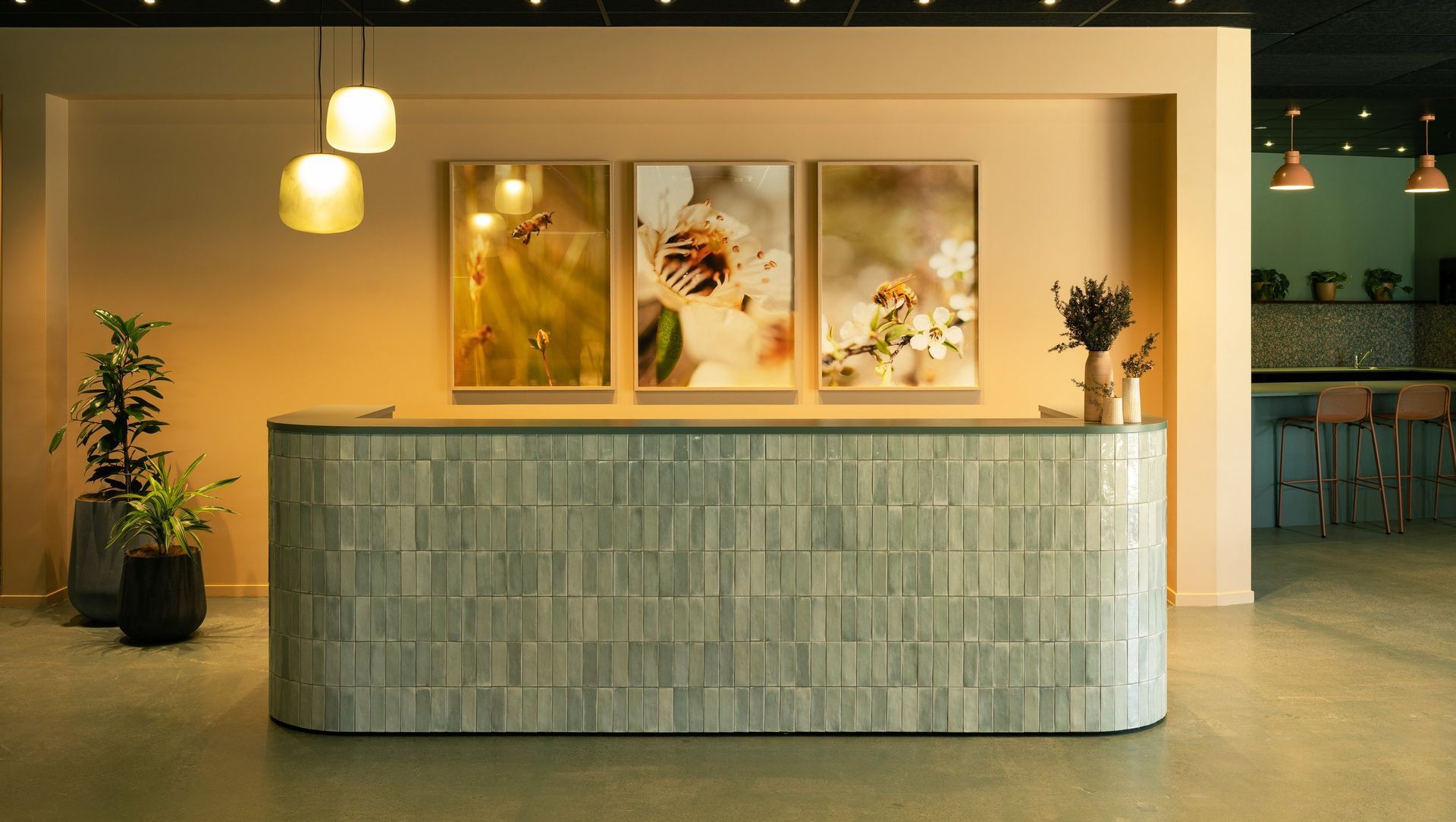 Comvita Workplace banner