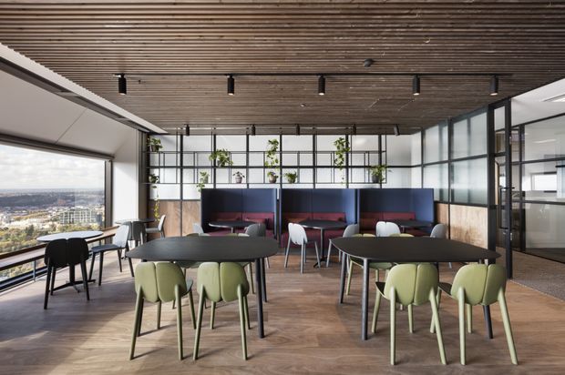Contemporary open-plan dining and breakout area with multiple round and rectangular tables, upholstered green and dark chairs, and deep blue banquette seating. The space features expansive black-framed glazing, timber-look flooring, a full-width timber slatted ceiling with linear track lighting, and a planted black metal room divider. A city view is visible through the windows.