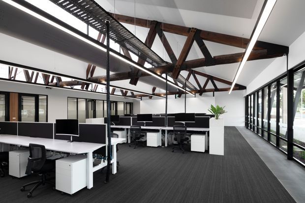 Bright open-plan commercial office with rows of white desks, black workstation partitions, ergonomic task chairs, and computer monitors. The space features exposed dark timber roof trusses, a suspended mesh walkway or mezzanine element, linear pendant lighting, white walls, dark carpet flooring, and extensive floor-to-ceiling glazing along one side.
