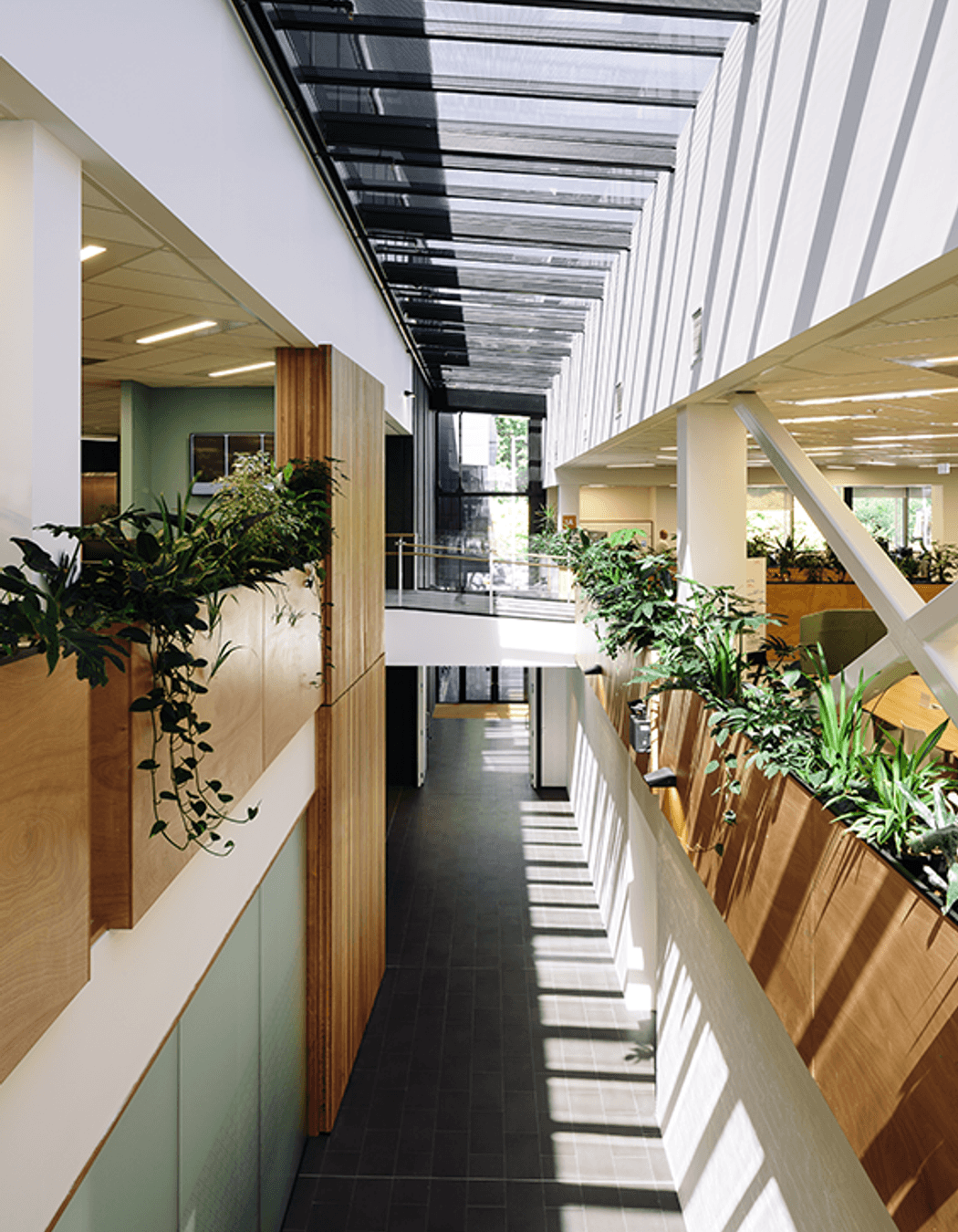 A linear atrium, slicing through the old and the new building floor plates, creates connections between floors and maximises the penetration of natural light.