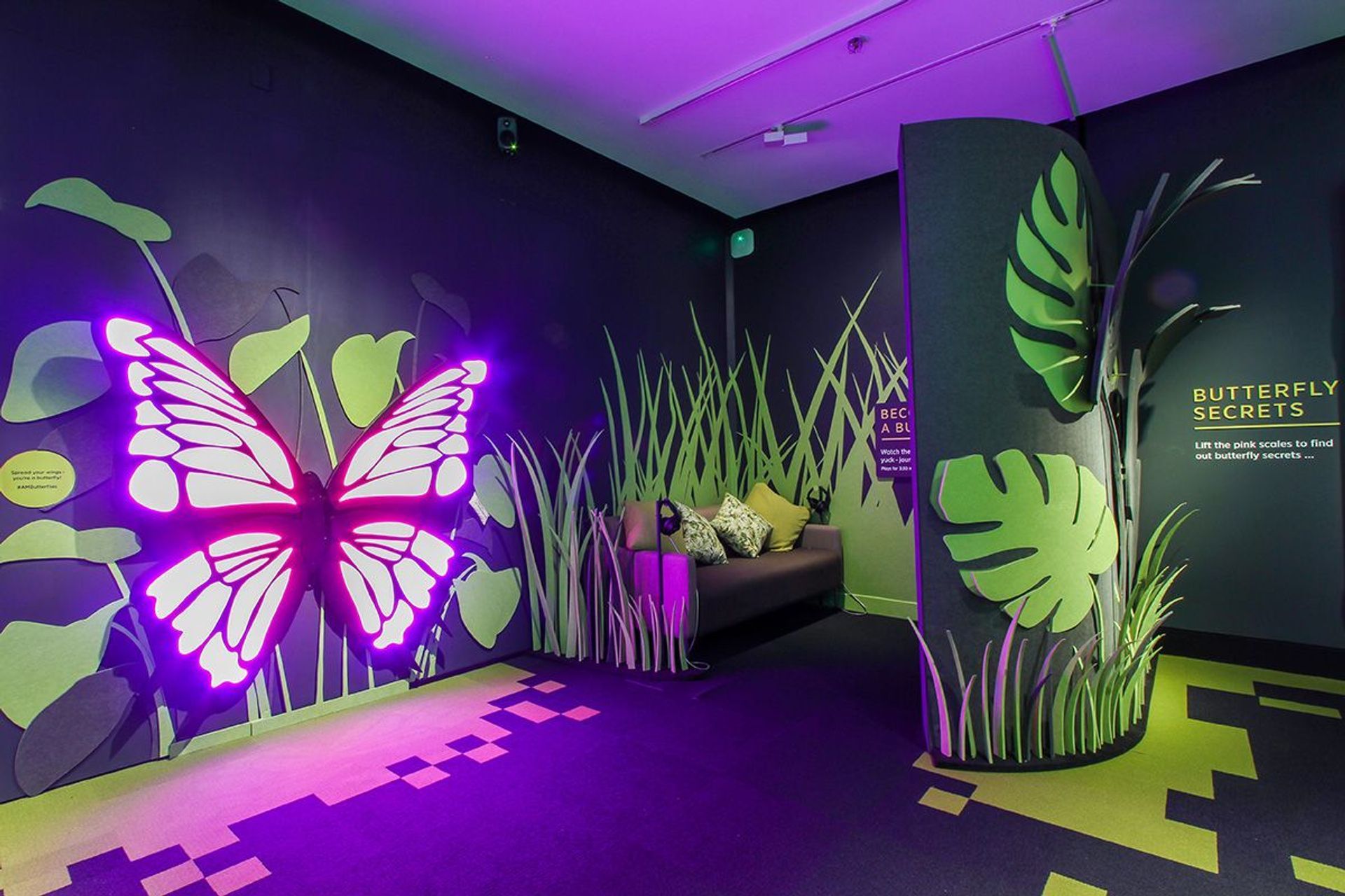 Auckland War Museum - Secret World Of Butterflies