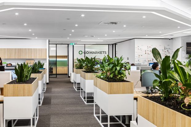 Bright contemporary open-plan office interior with rows of white-and-light-wood planter partitions, integrated workstations, glass meeting-room doors, recessed ceiling lighting, and a visible OMMarkets logo. The space has a clean, modern corporate fit-out with abundant indoor greenery.